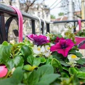 https://host-housee-luxury-apartment.sofiahotelsbg.com